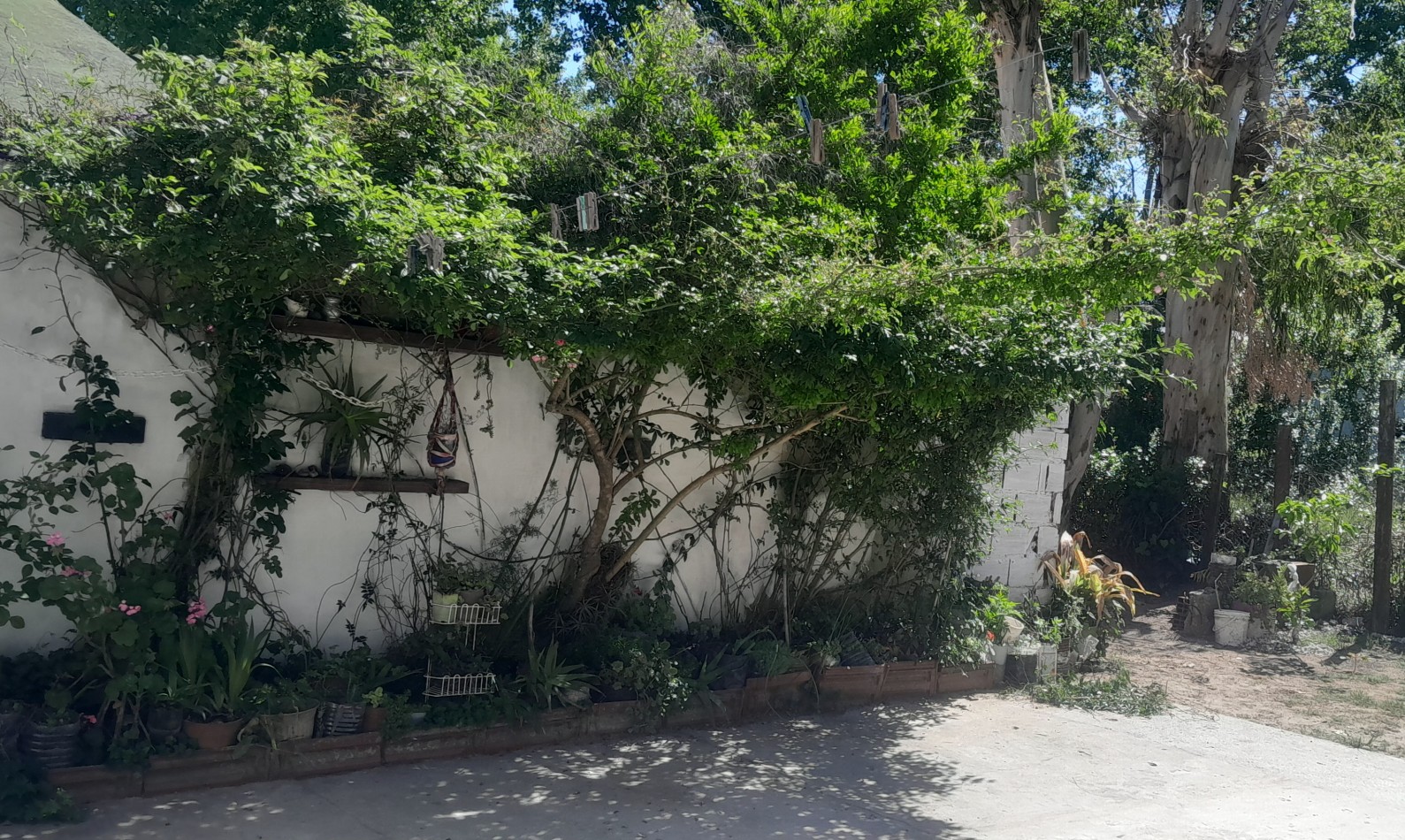 DPTO TIPO CASA