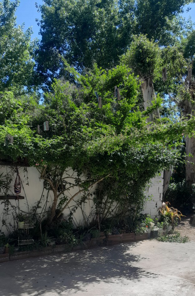 DPTO TIPO CASA