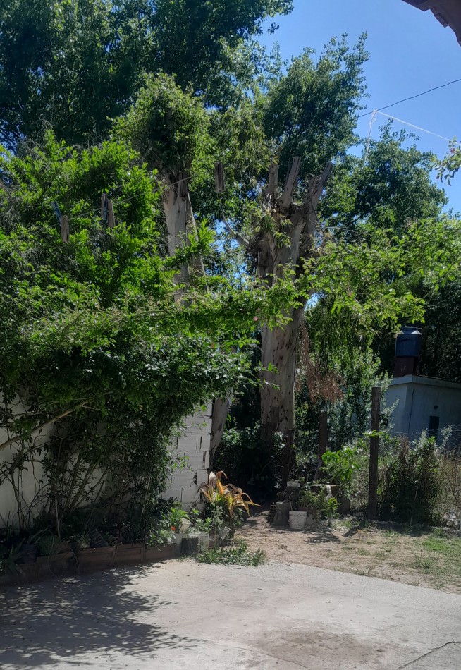 DPTO TIPO CASA