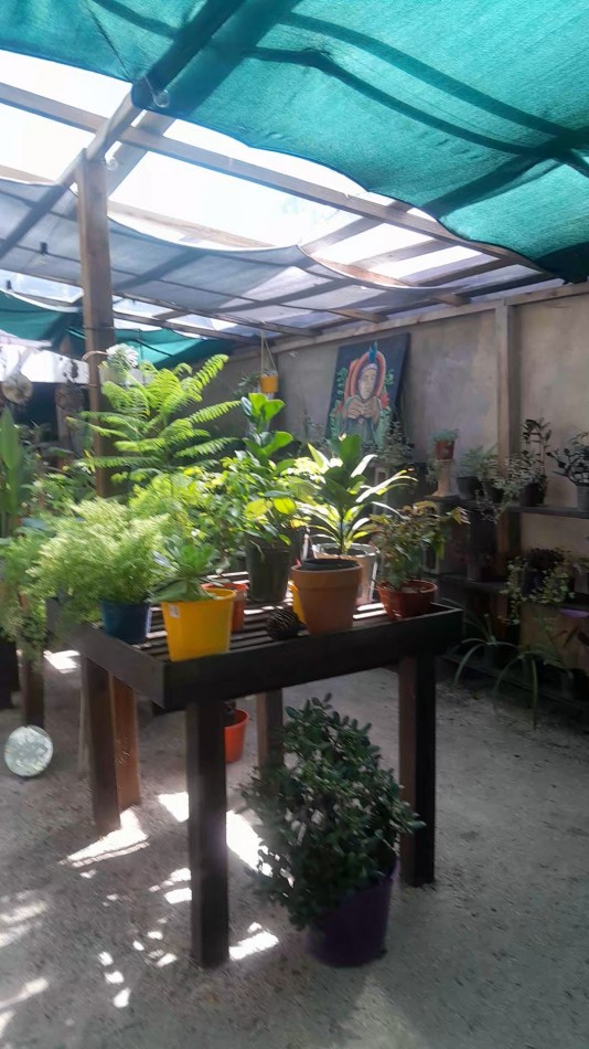 VENTA CABAÑA 2 AMBIENTES MAS VIVERO 