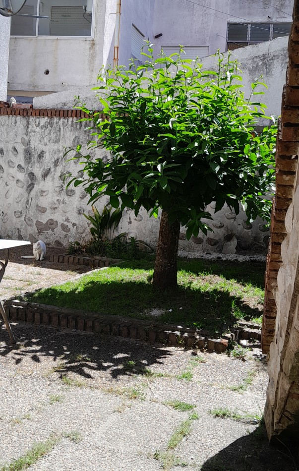 ALQUILER TEMPORAL EN SANTA TERESITA 