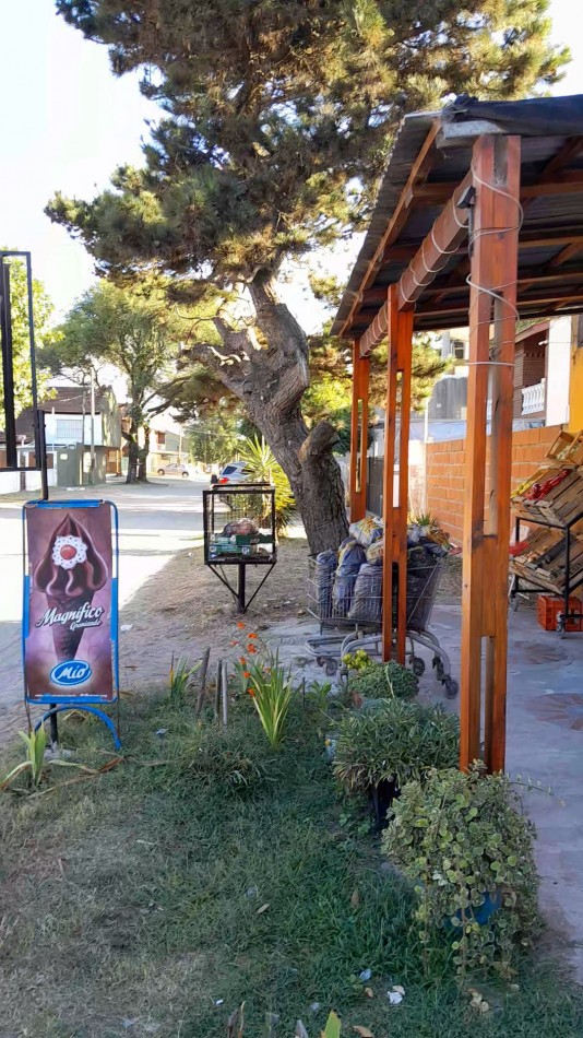 Inversion Ideal en Santa Teresita: Local Comercial y Vivienda - Se Venden Juntos o Separados